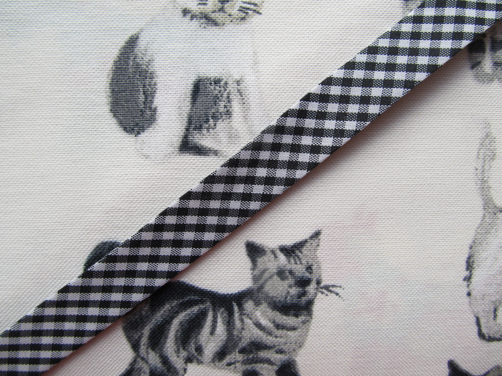 Gingham Check Bias Binding