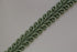 Premium 9-10mm Scroll Braid - 35 Colours