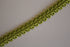 Premium 9-10mm Scroll Braid - 35 Colours