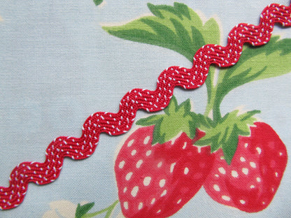 Polka Dot Ric Rac Trim - 3 Metre Length